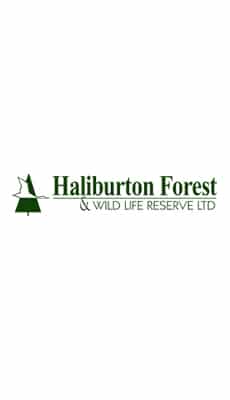 Haliburton Forest